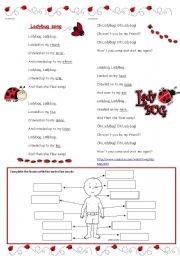 English Worksheet: Ladybug song