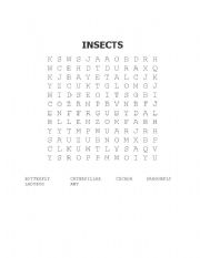 English worksheet: INSECTS word search