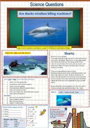 English Worksheet: Are sharks mindless killing machines?  A Science Question 13
