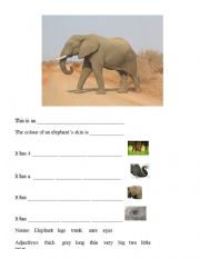 English worksheet: parts of an elephant, writing in sentences