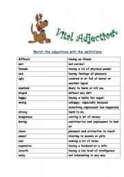 Match the Adjectives