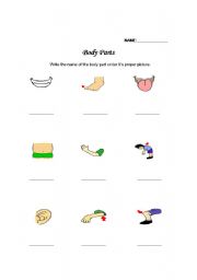 English worksheet: Body parts word match