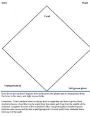 English worksheet: From seed to dinner