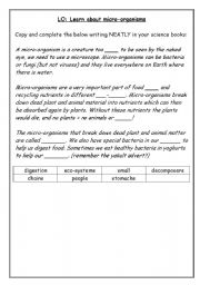 English worksheet: Micro-organisms