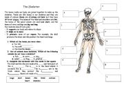 Complete the skeleton