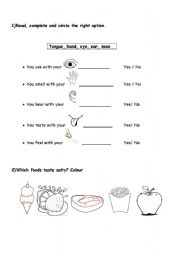 English Worksheet: Senses