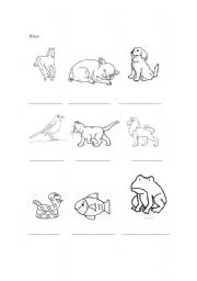 Animals I know - ESL worksheet by pepiinthestreet