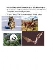English Worksheet: Animlas wildlife poster