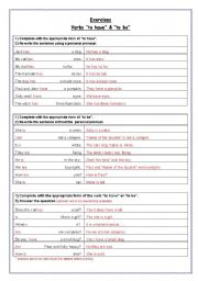 English worksheet: Exercises - to have & to be