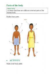 English worksheet: Body parts