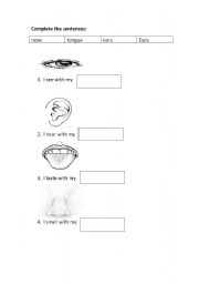 English worksheet: social studies (senses - clothes - things in the house)