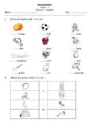 English Worksheet: Article