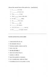 English Worksheet: Verb to be test