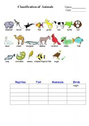 classification of animals 1.