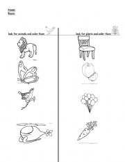 English Worksheet: Animals and plants
