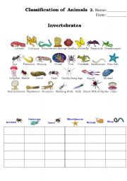 classification of animals 2.