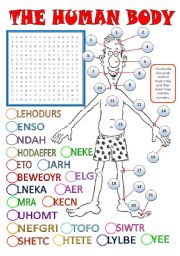 BODY PARTS - a wordsearch + unscrambling words + matching + key