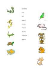 English worksheet: Match the pets!