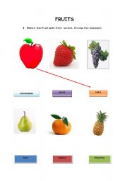 English Worksheet: the fruits