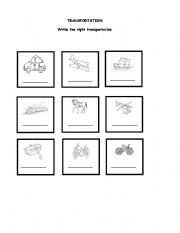 English worksheet: transportation