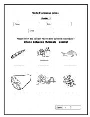 English worksheet: Where does the food come from?