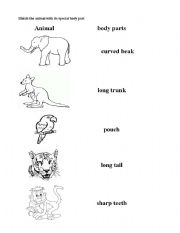 English Worksheet: Animal body