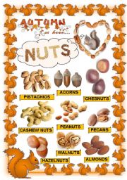English Worksheet: Nuts