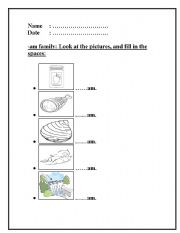 English Worksheet: -am family worksheet