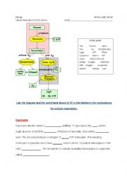 English Worksheet: Cellular Respiration CLOZE activity