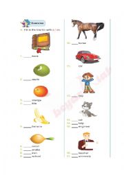 English Worksheet: A-AN