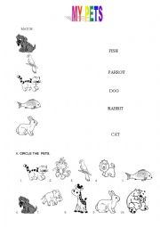 English Worksheet: PETS