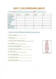 English worksheet: modal can