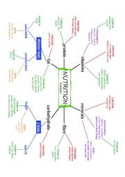 English Worksheet: NUTRITION and NUTRIENTS Mind Map (Concept Map) plus exercises