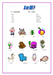 English Worksheet: A or An