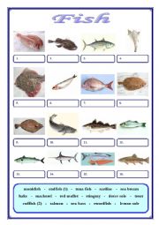 English Worksheet: Fish
