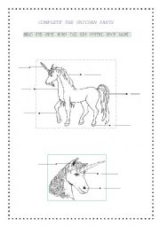 English Worksheet: the unicorn, body parts.
