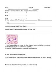 English worksheet: Blood system