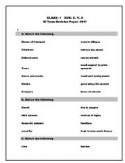 English worksheet: evs