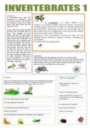 ANIMALS (Vertebrates and Invertebrates) - ESL worksheet by ...
