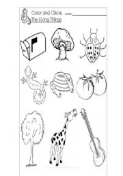 English worksheet: LIVING THINGS