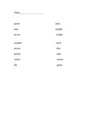 English Worksheet: irregular plurals