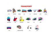 English worksheet: transport