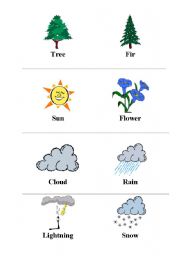 English Worksheet: Nature