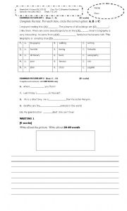 English worksheet: Vocabulary& Grammar 