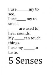 English Worksheet: 5 Senses