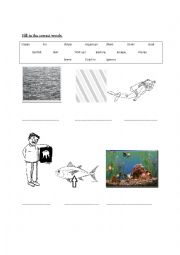 English Worksheet: Ocean Vocab