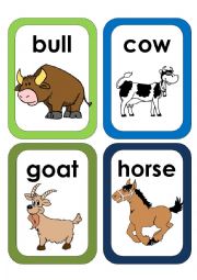 Farm Animals Flash Cards #3