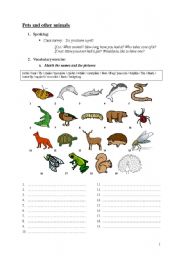 English Worksheet: Pets and other animals