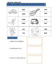 English worksheet: Read, circle and colour