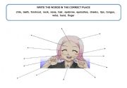 English worksheet: Face parts